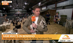 bendigo-show-on-tv