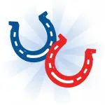 horse section image