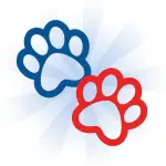 Dog Shows image