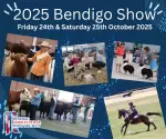 2025-bendigo-show